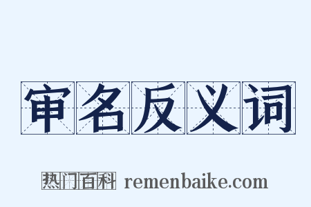 审名反义词是什么意思的图片